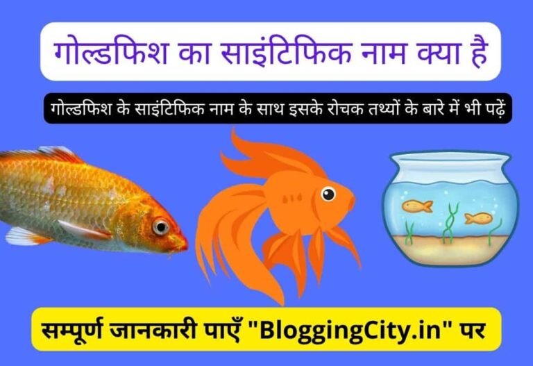 Goldfish ka Scientific Naam Kya hai? – Goldfish का साइंटिफिक नाम क्या है? सम्पूर्ण जानकारी हिंदी में 2023 5 (303)